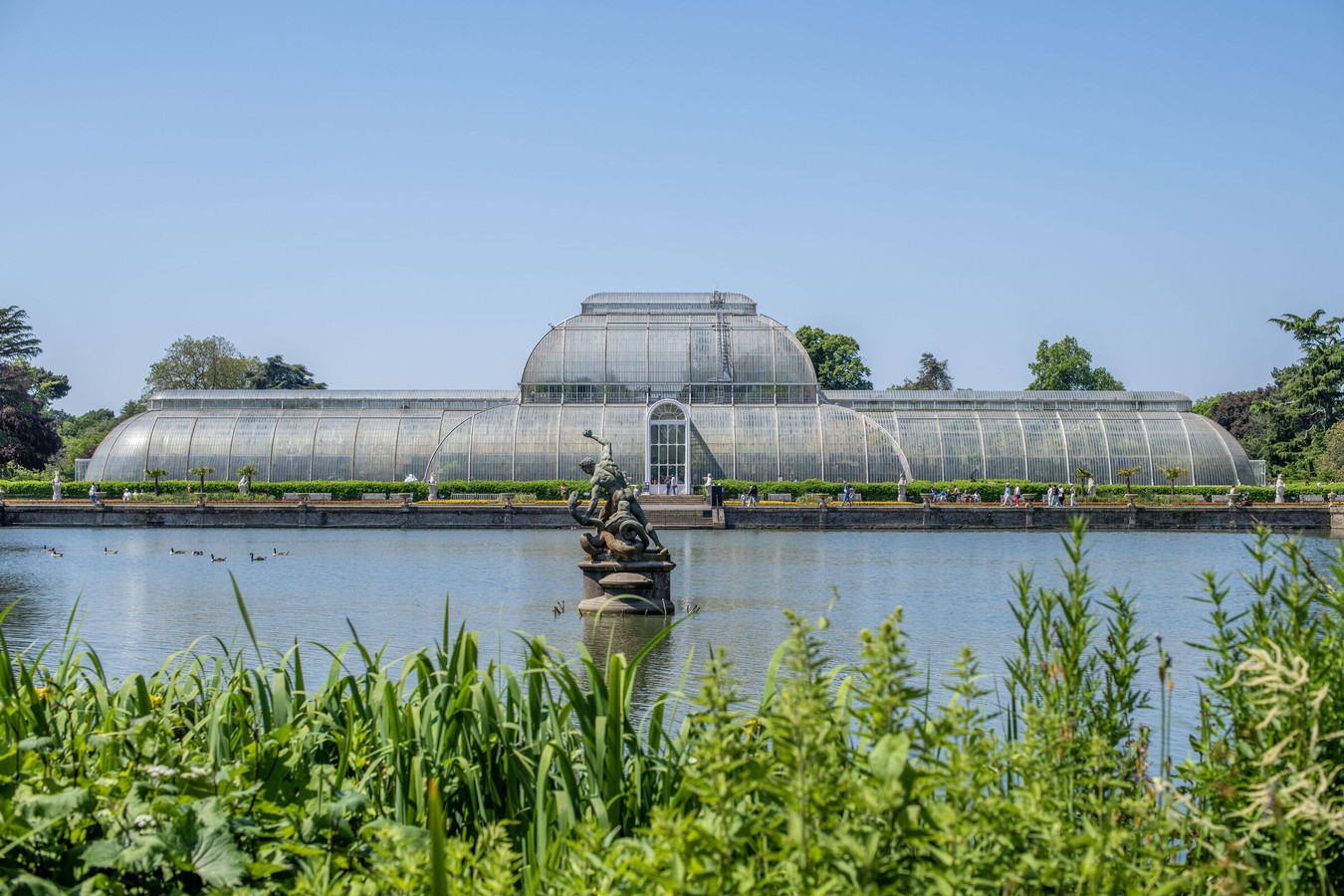 The Palm House Project 1