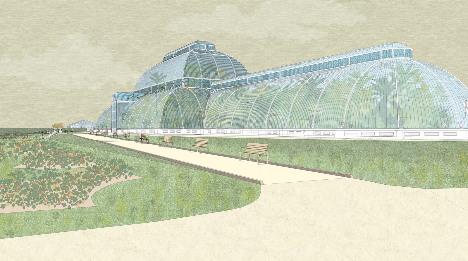 The Palm House Project 6
