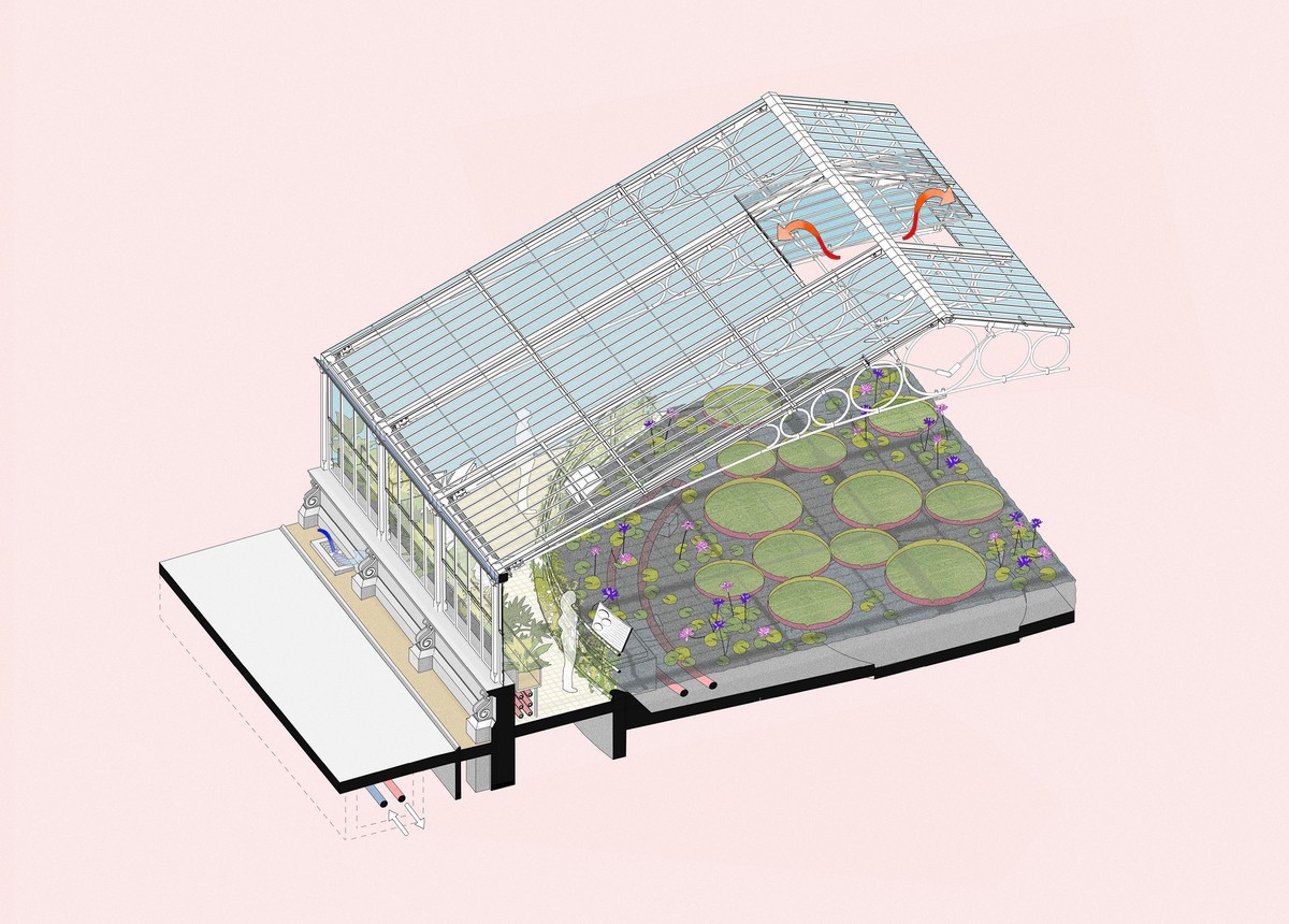 Waterlily House cut-away section