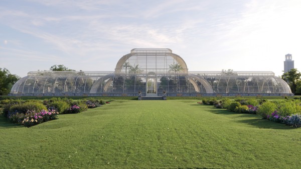 The Palm House Project